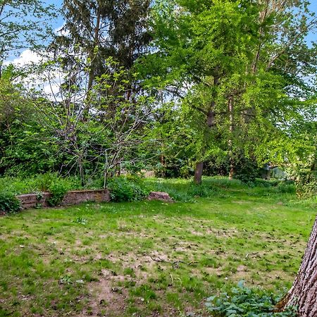 Altstadt Apartment Am Wasser Mit Parkplatz Und Grossem Garten Bad Kreuznach Eksteriør billede
