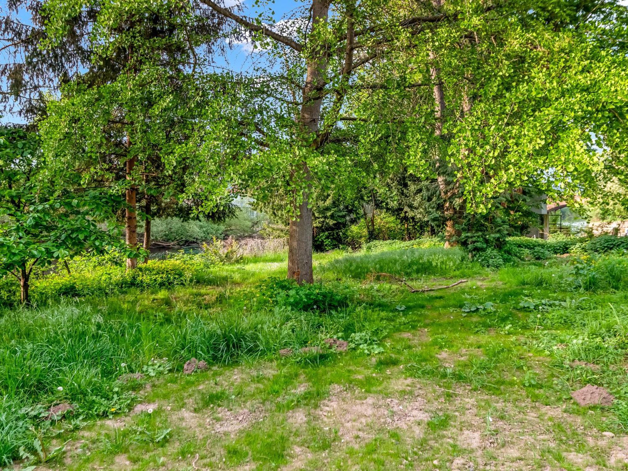 Altstadt Apartment Am Wasser Mit Parkplatz Und Grossem Garten Bad Kreuznach Eksteriør billede